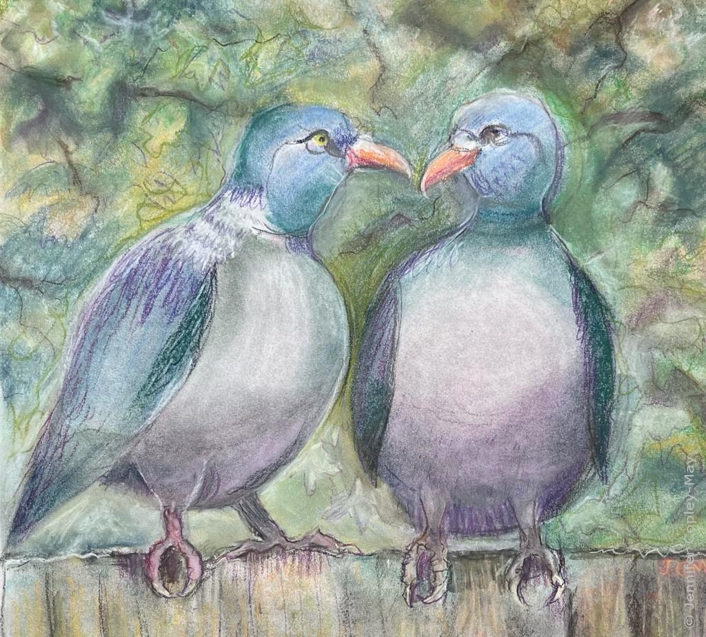 Love Birds (Pigeons), pastel on paper by Jennifer Copley-May