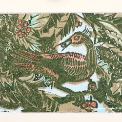 Exotic Bird (tl/ol), original woodcut print
25x20cm (artwork 19x14.5cm)
